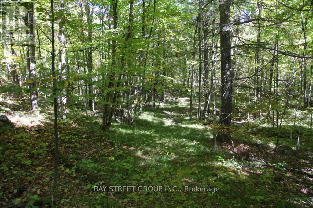 Vacant Land at 0 COUNTY ROAD 41 ROAD S, Addington Highlands