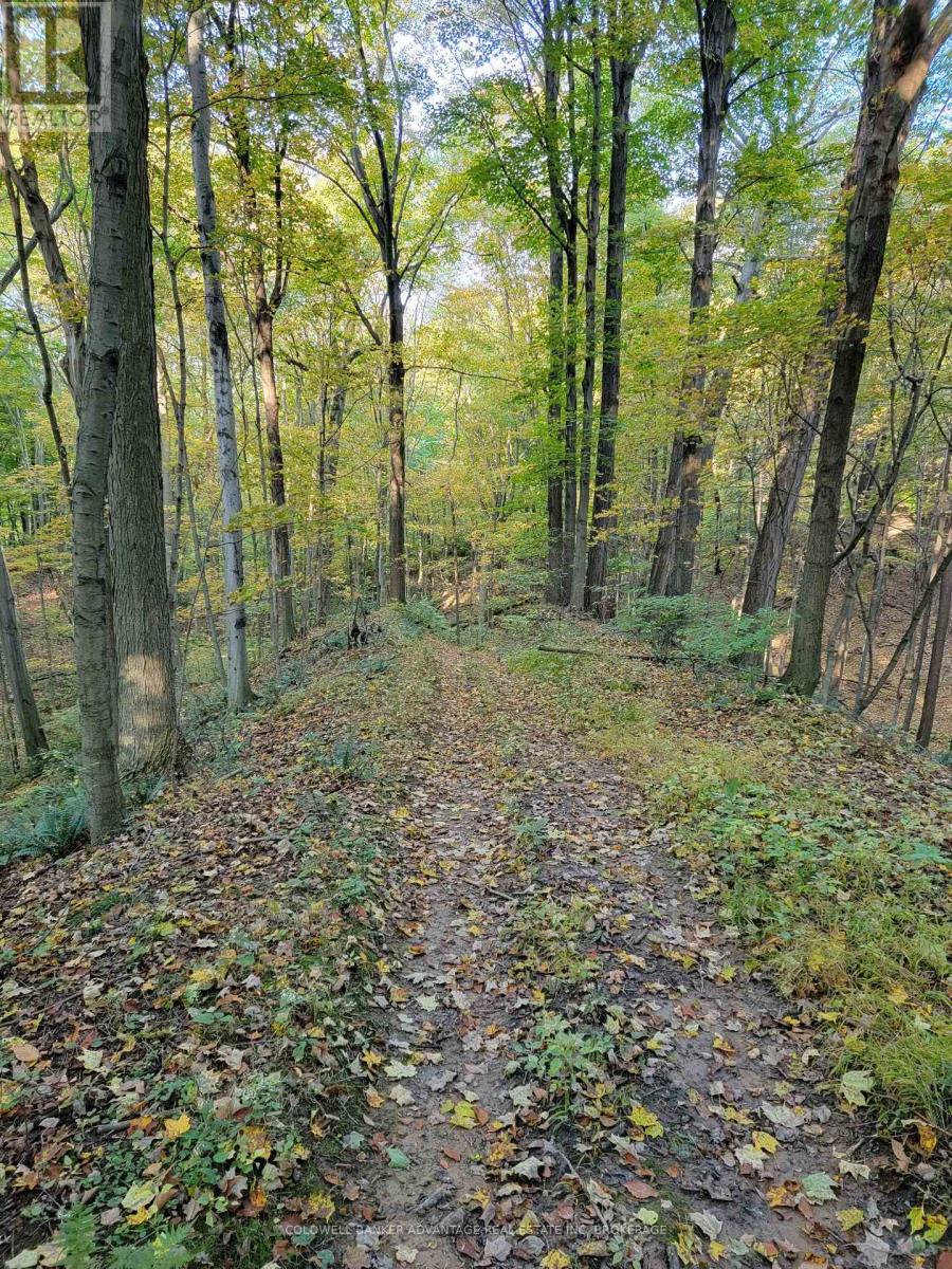 Vacant Land at 154&155 LOT, Thorold
