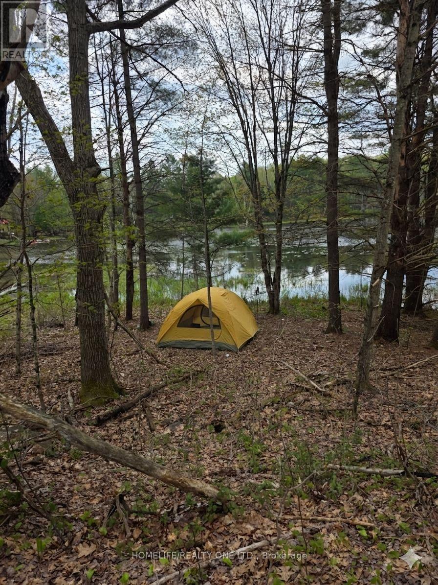 Vacant Land at 0 VILLAGE 1 ROAD, Muskoka Lakes