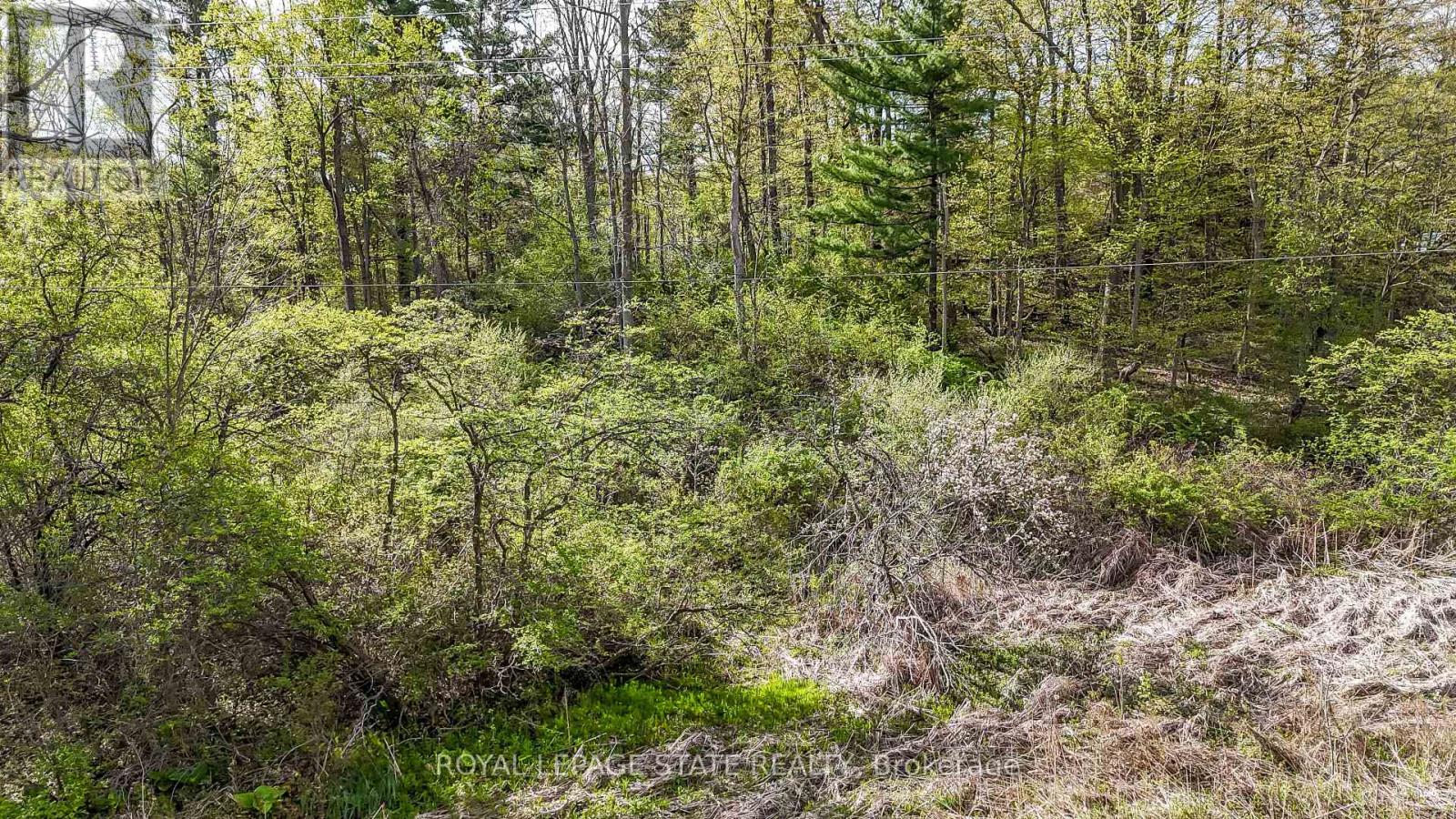 Vacant Land at 0 MINERAL SPRINGS ROAD, Hamilton