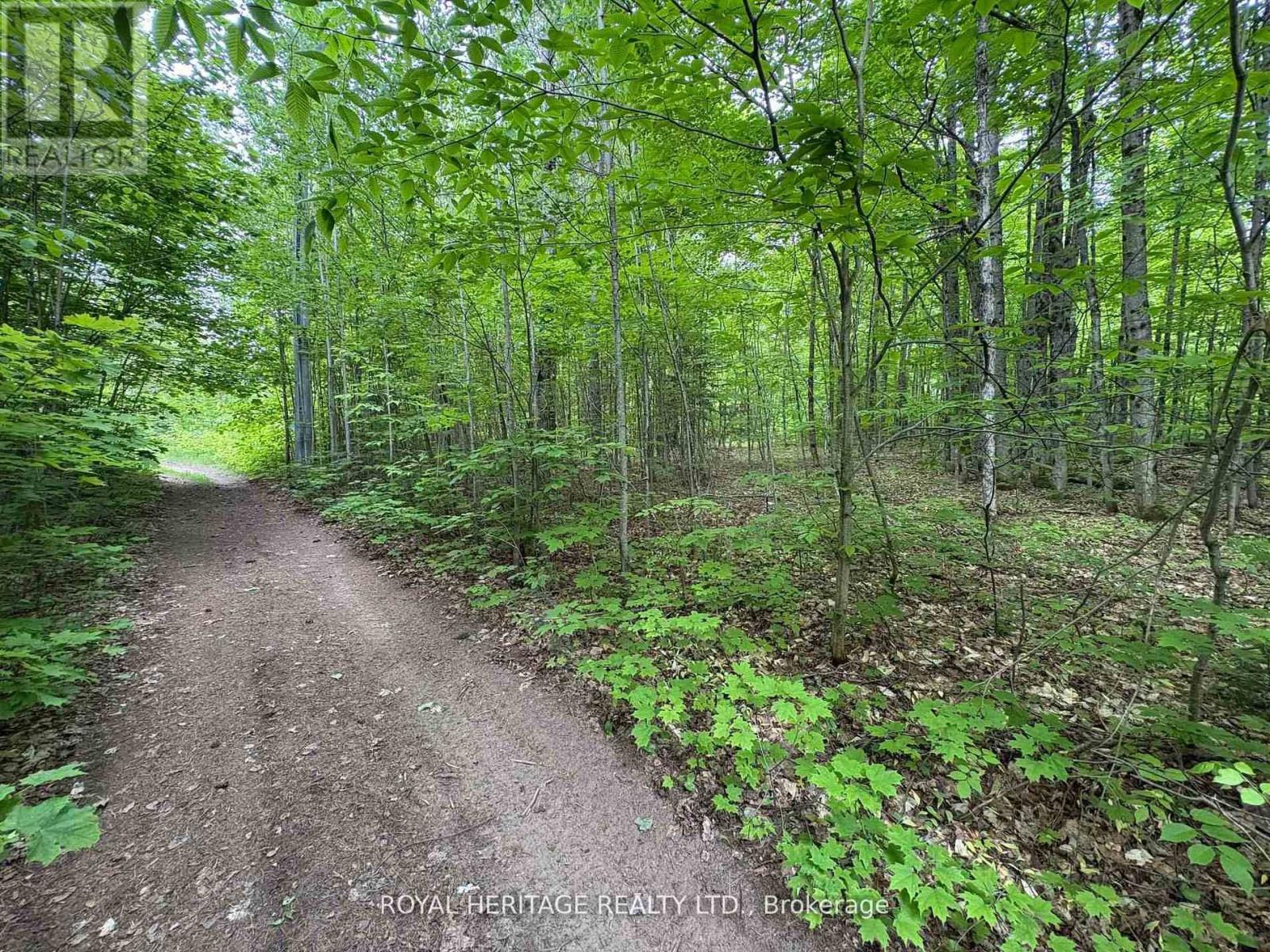 Vacant Land at 1043 LAWRENCE PIT ROAD, Muskoka Lakes