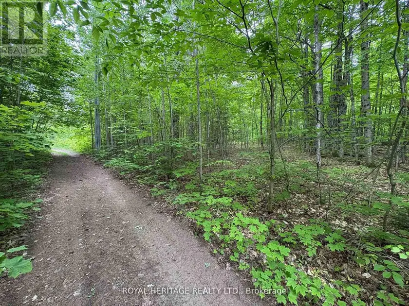 Vacant Land at 1043 LAWRENCE PIT ROAD, Muskoka Lakes