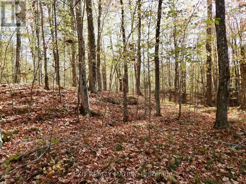 Vacant Land at LOT 1 WOODLAND PARK DRIVE, Frontenac