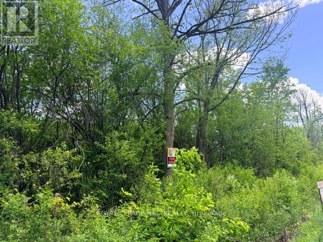 Vacant Land at V/L CENTRALIA AVENUE N, Fort Erie (Ridgeway)