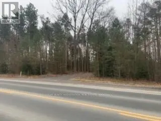 Vacant Land at 0 COUNTY RD 42, Trent Hills