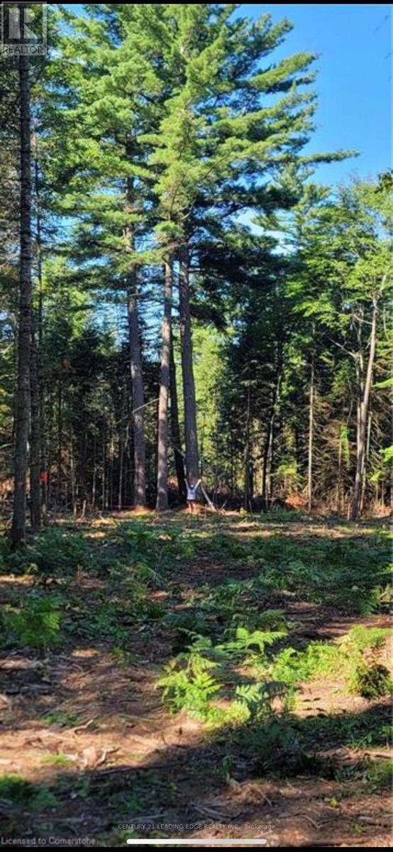 Vacant Land at NA DWIGHT BEACH ROAD, Lake of Bays