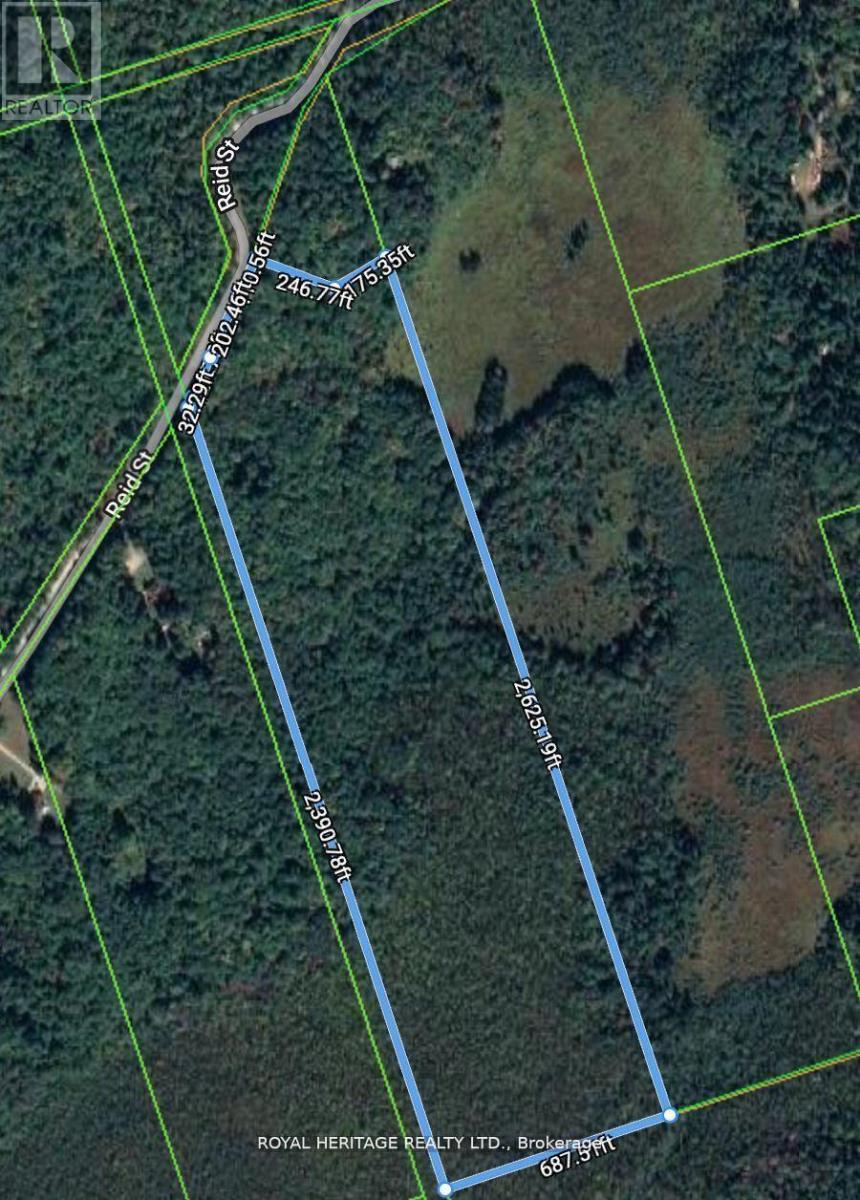 Vacant Land at 506 REID STREET, Trent Lakes