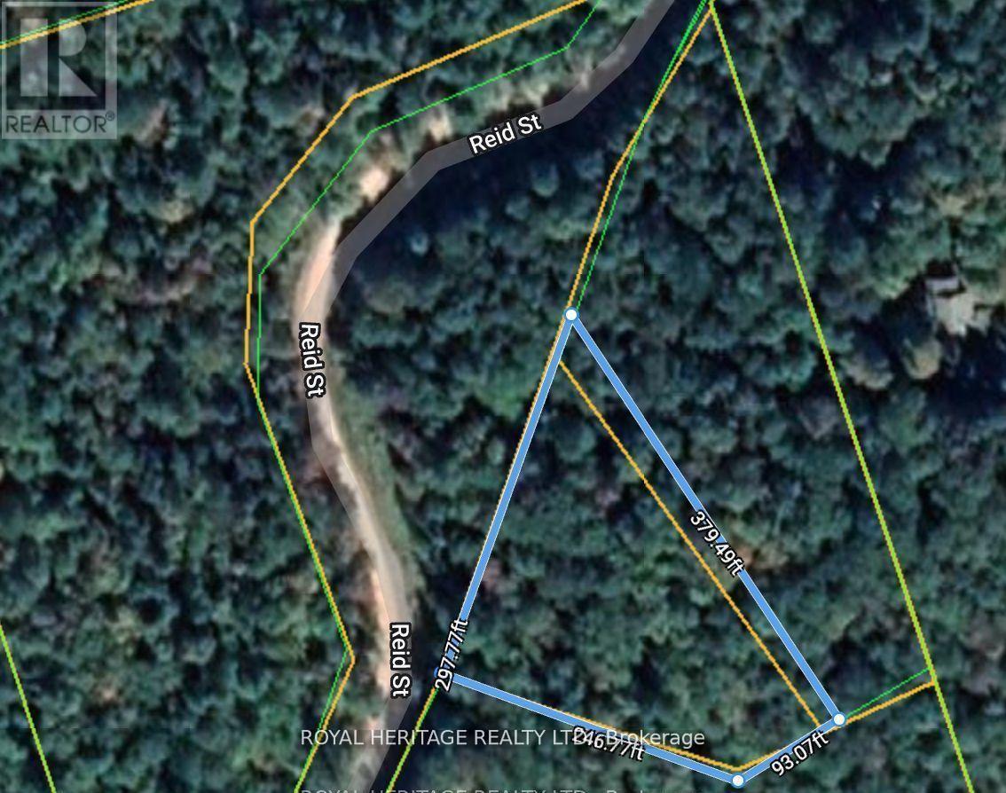Vacant Land at 0B REID STREET, Trent Lakes
