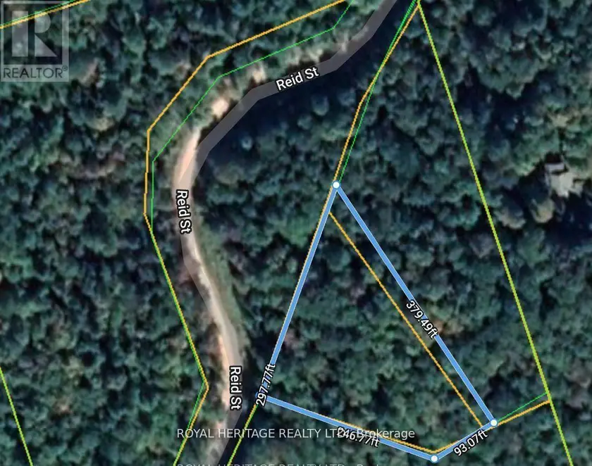 Vacant Land at 0B REID STREET, Trent Lakes