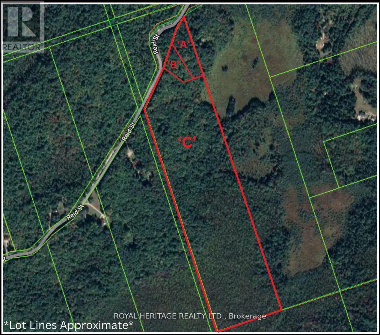 Vacant Land at 0A REID STREET, Trent Lakes