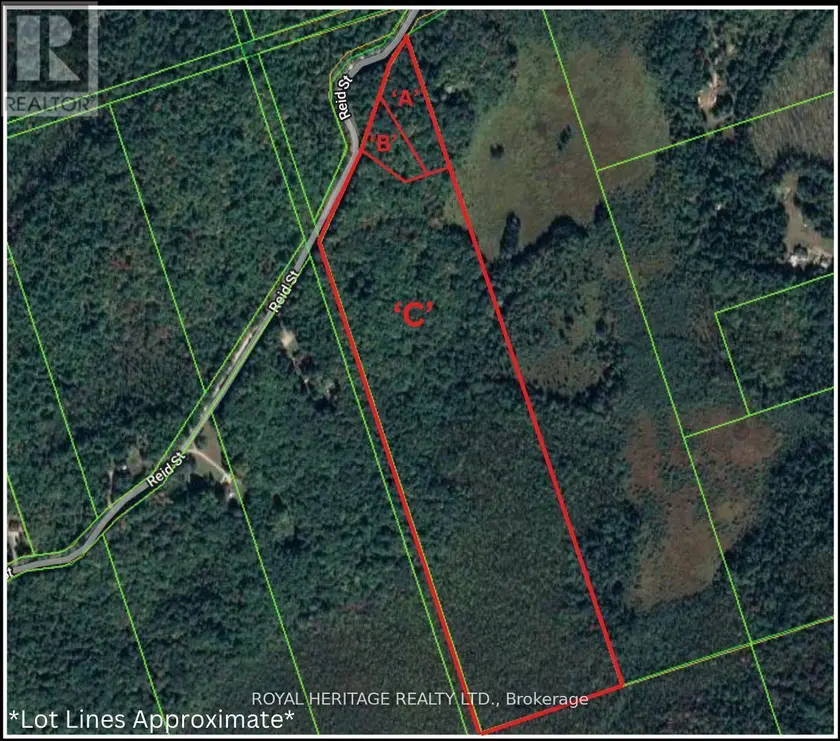 Vacant Land at 0A REID STREET, Trent Lakes