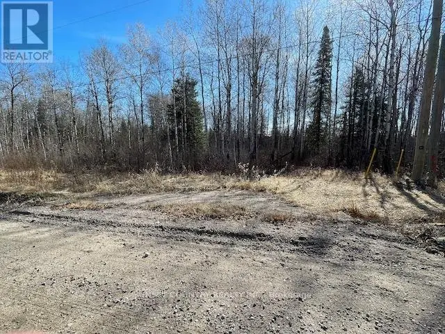Vacant Land at 191 LAKEVIEW ROAD, Dryden