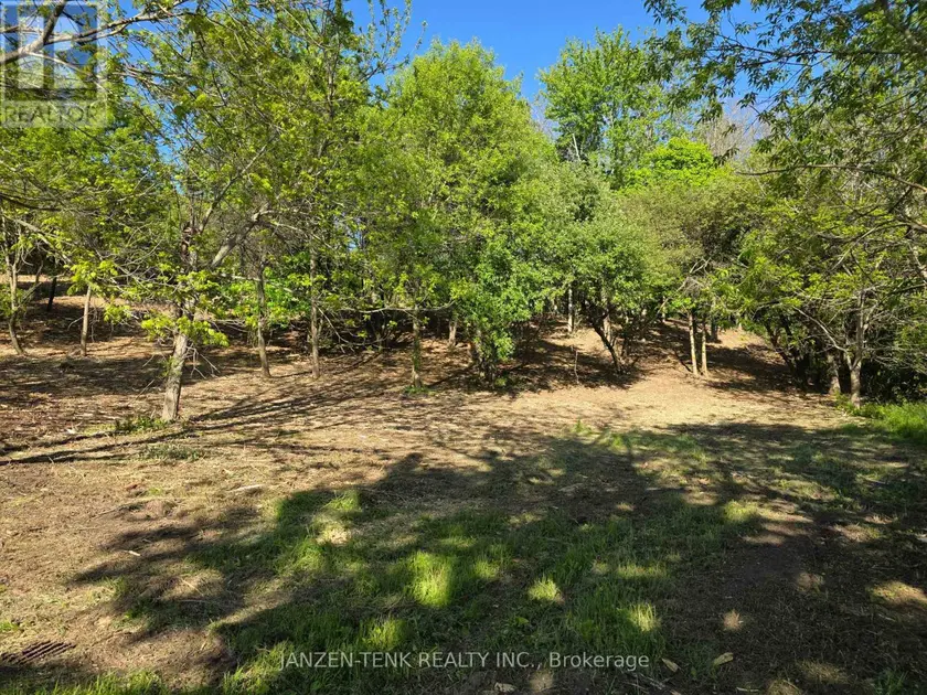 Vacant Land at 40 NORTH STREET, Bayham