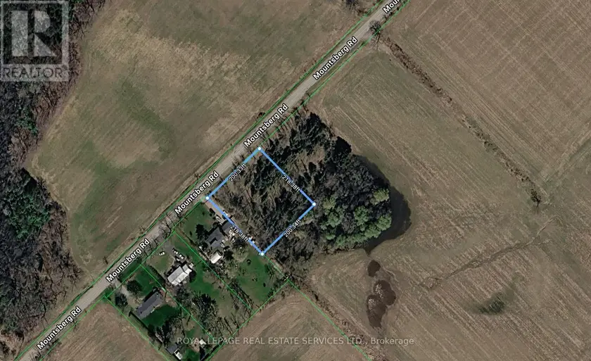 Vacant Land at 216 MOUNTSBERG ROAD, Hamilton