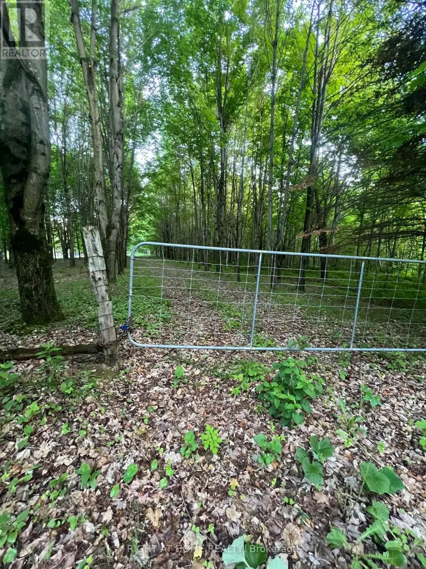 Vacant Land at 1947 ROUTE 100, The Nation