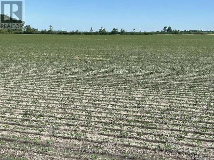Other at LT 26&27 THIRD CONCESSION LINE, Chatham-Kent