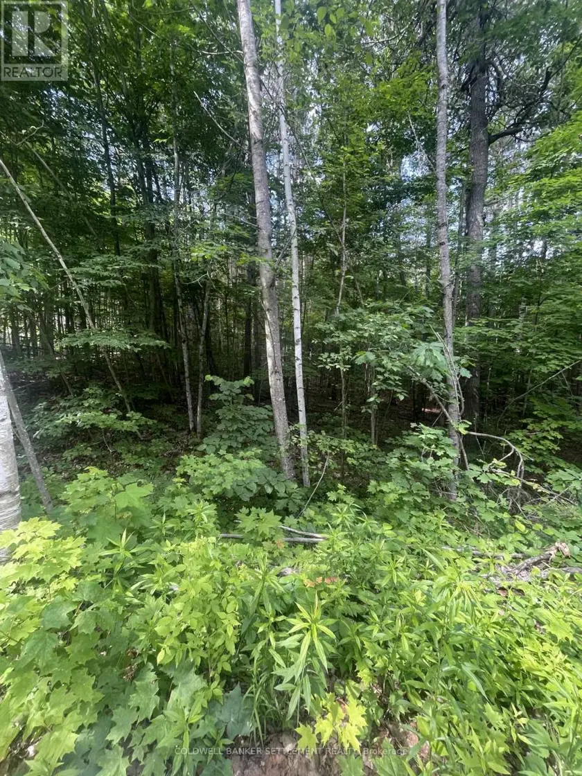 Vacant Land at 0 POND ROAD, Tay Valley