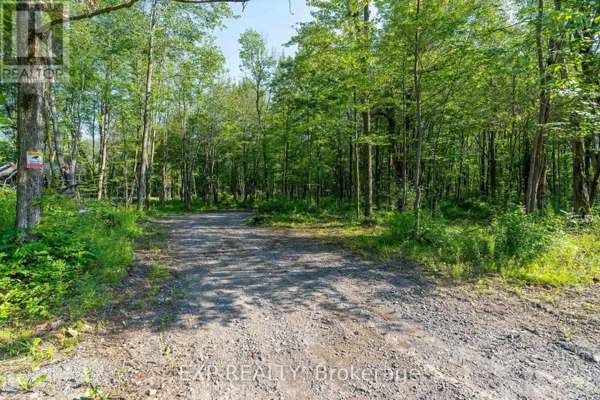 Vacant Land at LOT 20 CONCESSION 4 ROAD, Alfred and Plantagenet