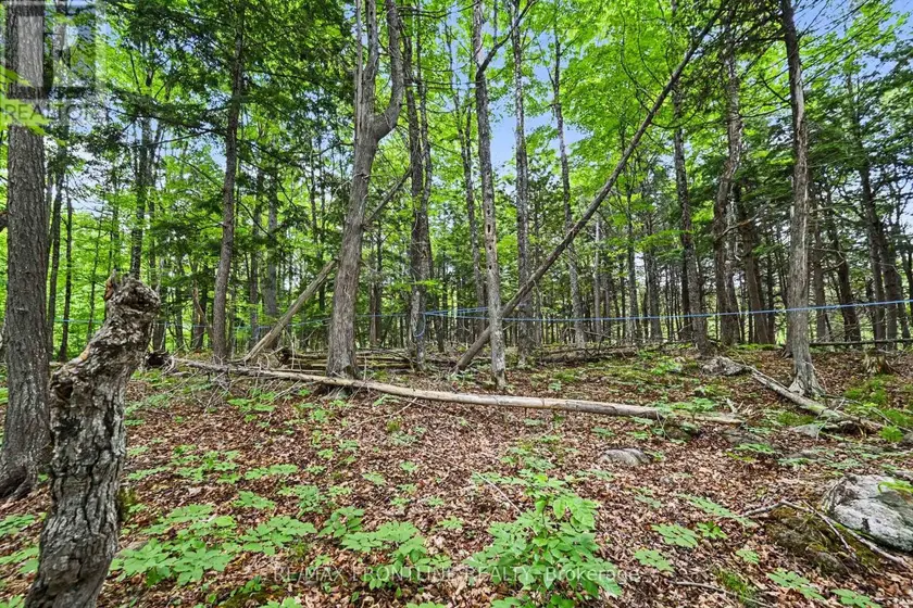 Vacant Land at 634 CONCESSION 5A DALHOUSIE, Lanark Highlands