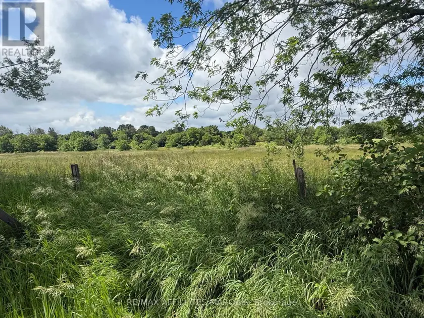 Vacant Land at 231 WELLINGTON ( PIN-451060369) STREET, Greater Napanee