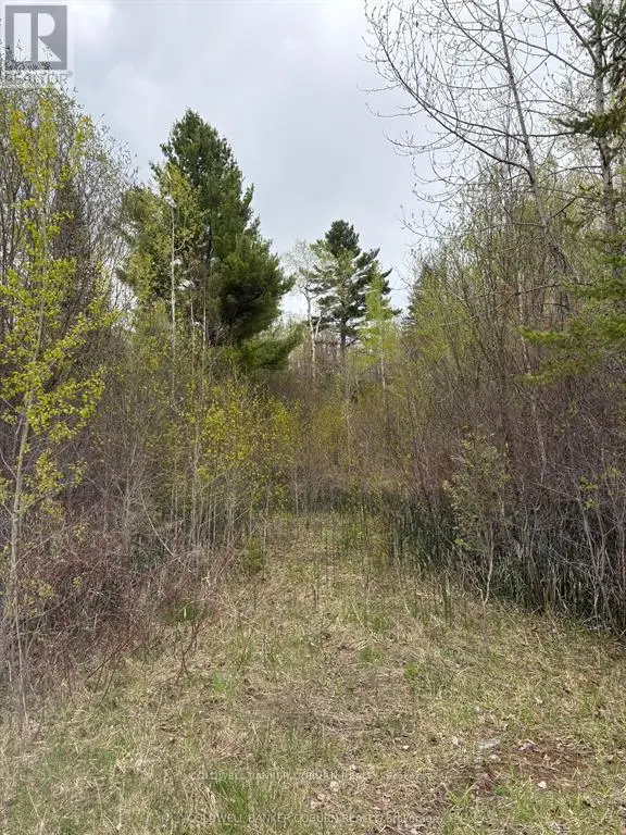 Vacant Land at 2035 VENTNOR ROAD, Edwardsburgh/Cardinal