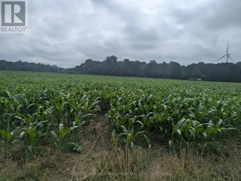 Vacant Land at 4688 GODBY ROAD, Bayham