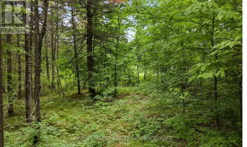 Vacant Land at LOT 16 ECHO LAKE ROAD, Frontenac
