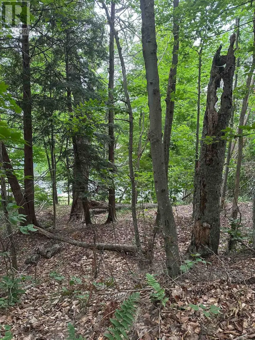 Vacant Land at 0 SILVER ROCK LANE, Frontenac
