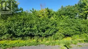 Vacant Land at LOT 7 PLAN 246 TOLMIES CORNERS ROAD, North Stormont
