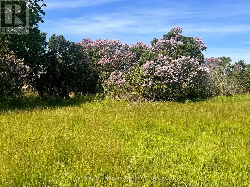 Vacant Land at LOT 17 SOUTH SHORE ROAD, Loyalist
