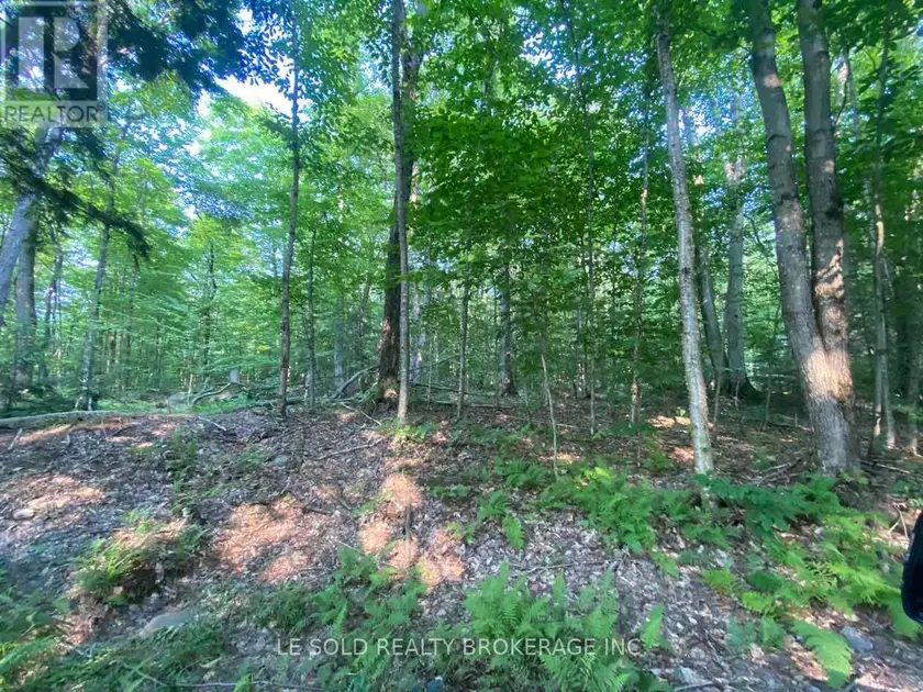 Vacant Land at LOT # 7 - 1310 CAMEL LAKE ROAD, Muskoka Lakes
