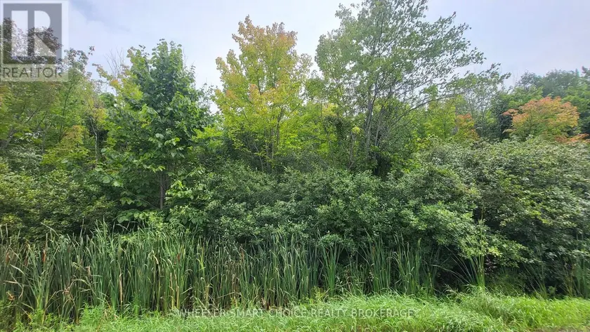 Vacant Land at LOT 6 TOLMIES CORNERS ROAD, North Stormont