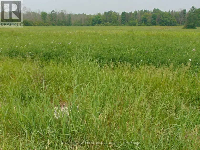 Vacant Land at 00 CHARLEVILLE ROAD N, Augusta