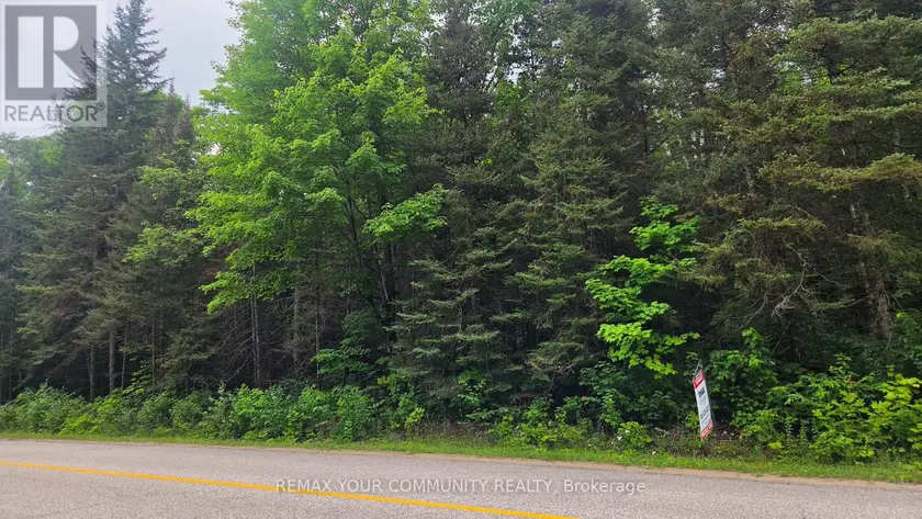 Vacant Land at CON 2 PT LT 19 HWY 518, Kearney (Proudfoot)