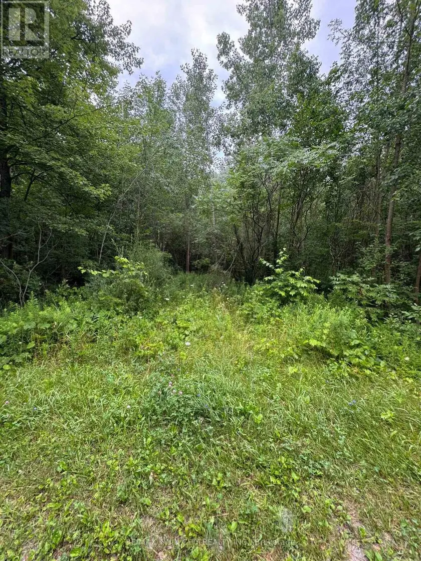 Vacant Land at N/A CONCESSION 6 TOWNSEND, Norfolk