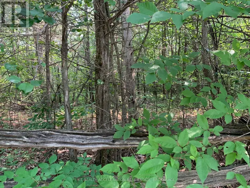 Vacant Land at 0 DENRIDGE ROAD, Greater Napanee