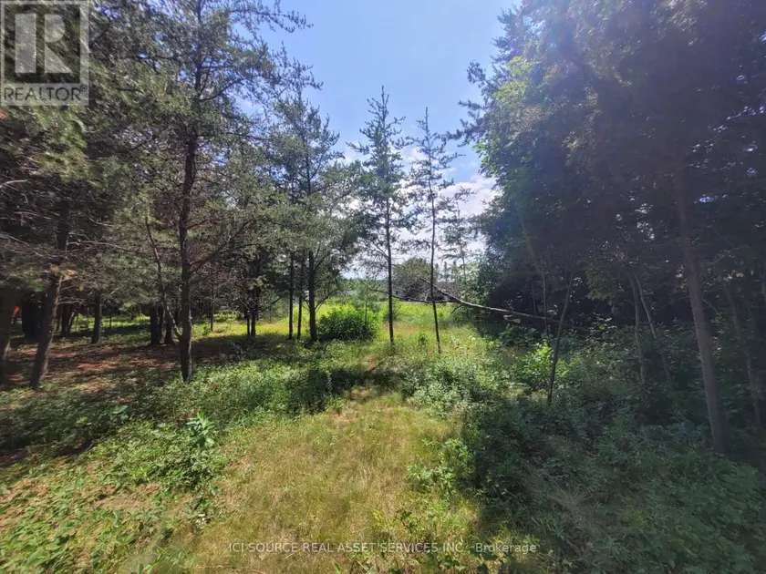 Vacant Land at 6 GREY STREET, Sables-Spanish Rivers
