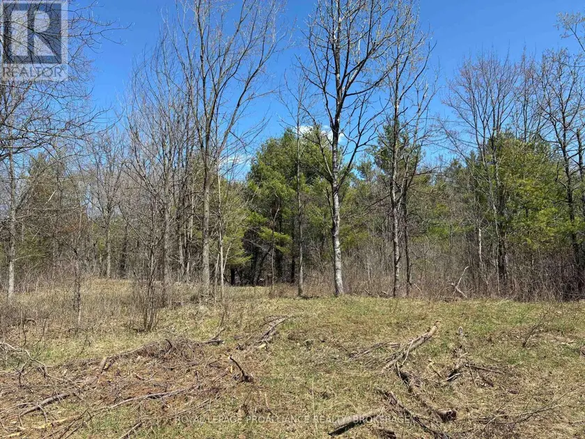 Vacant Land at LOT 4 LEVEQUE ROAD, South Frontenac