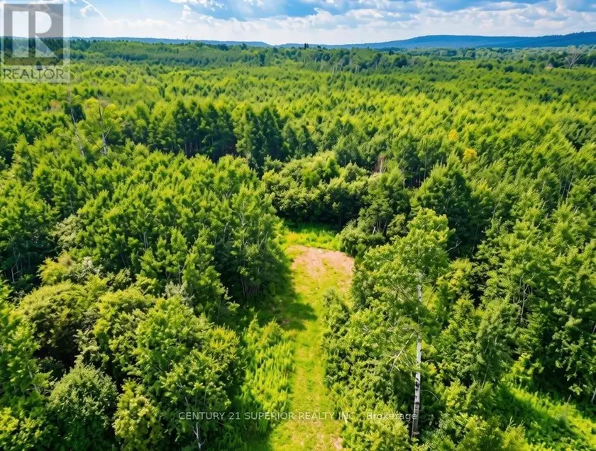 Vacant Land at 161 VALLEY ROAD, Dorion