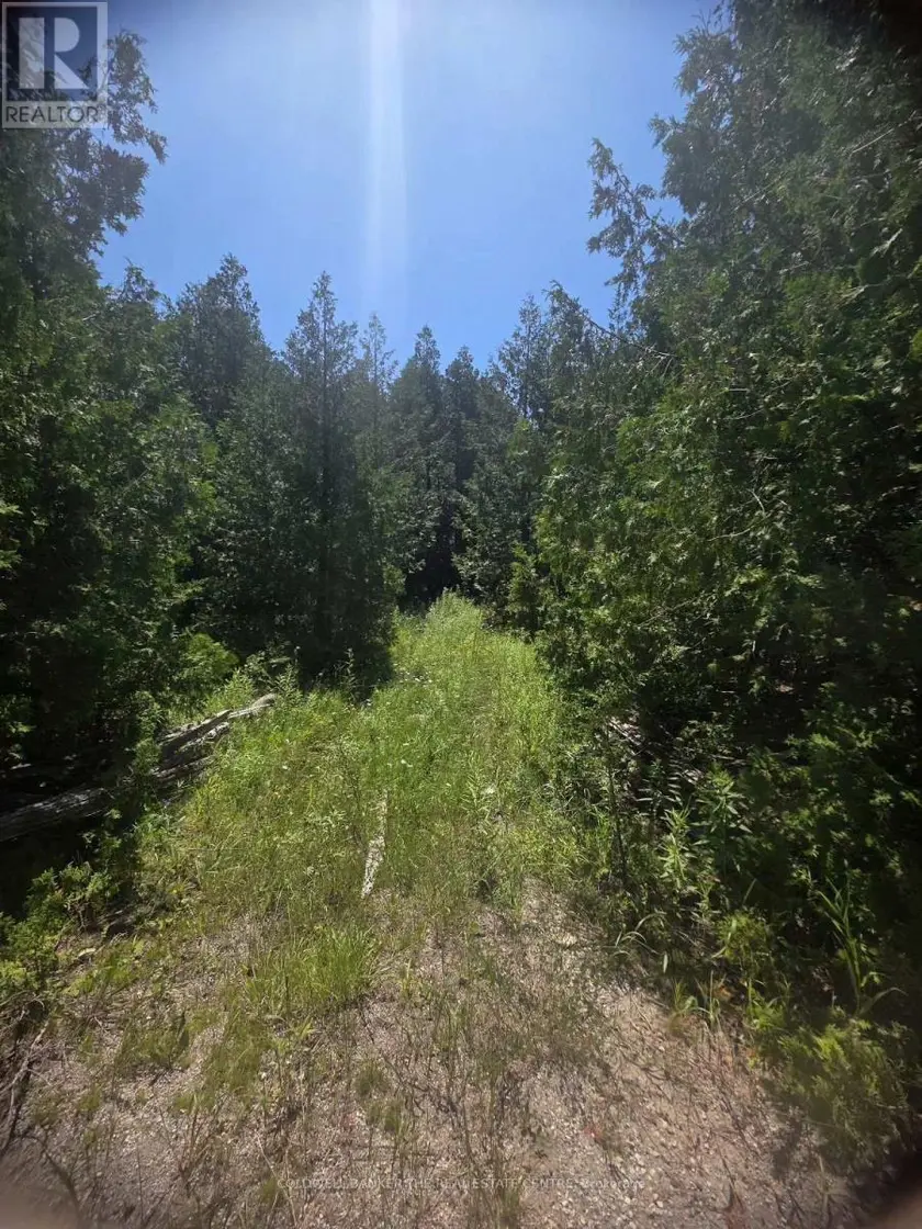 Vacant Land at N/A GOVERNMENT RD ACRES W, Tehkummah