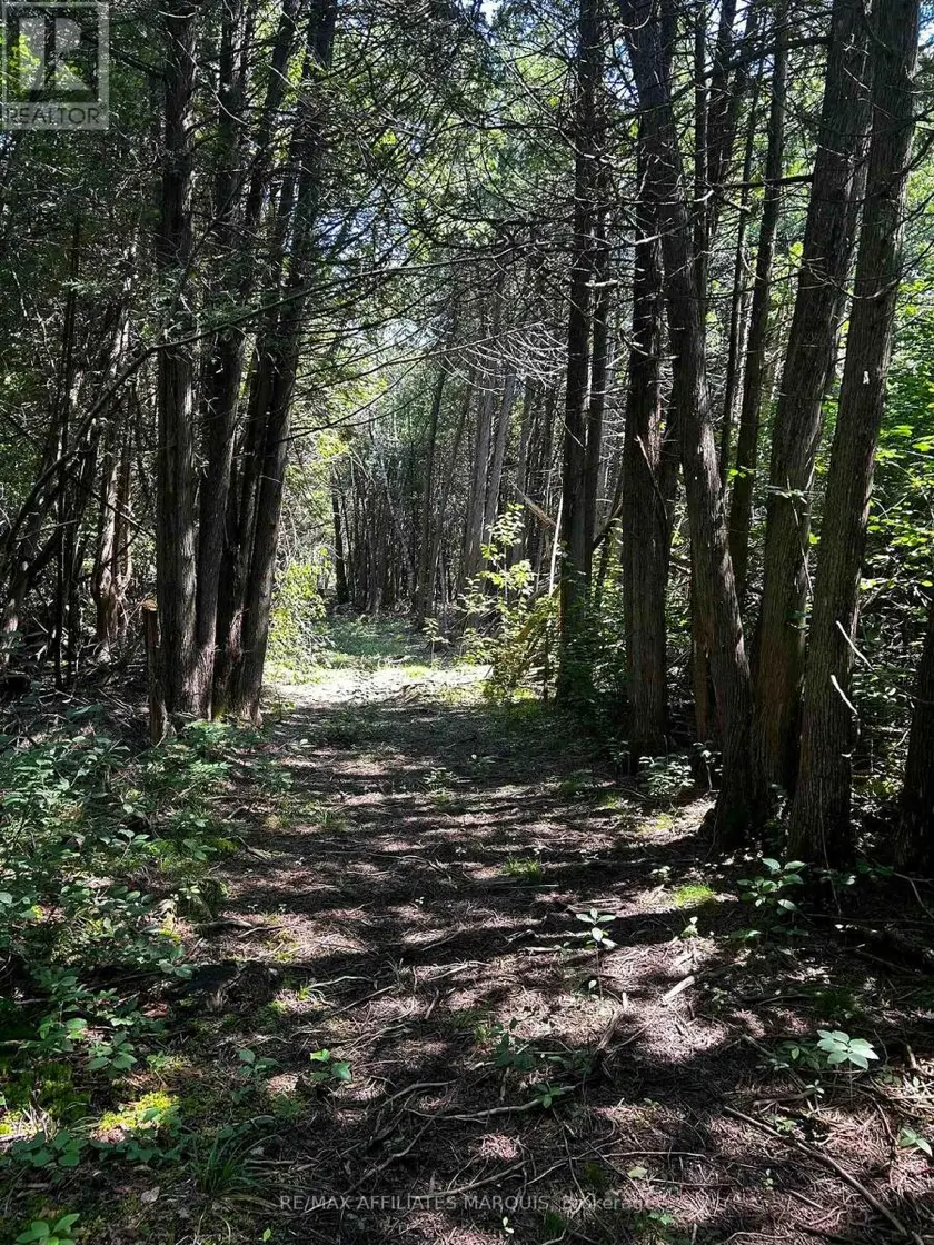 Vacant Land at 00 KERFORD ROAD, Merrickville-Wolford