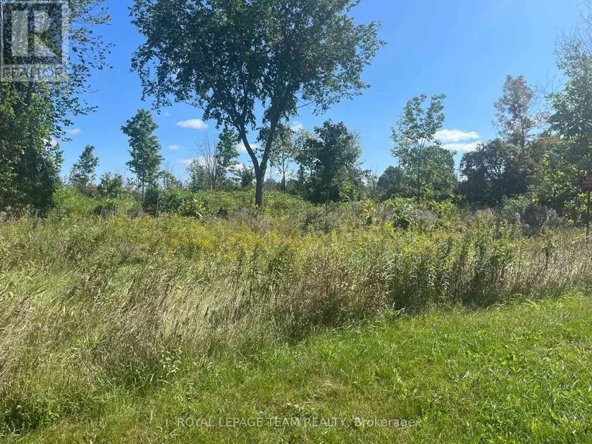 Vacant Land at 8645 BANK STREET, Ottawa