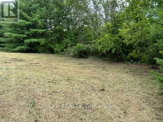 Vacant Land at LOT 5 & 6 RP 18 NOONAN ROAD, Alnwick/Haldimand