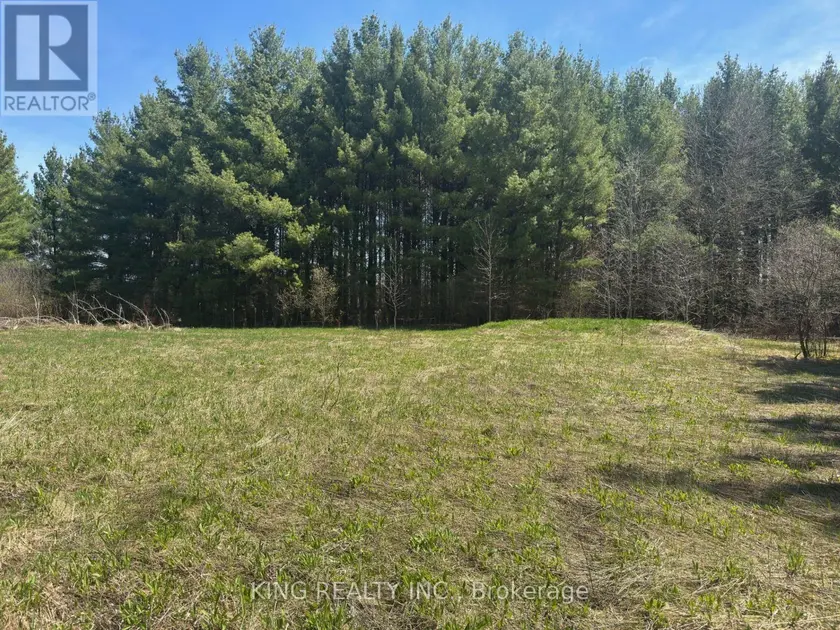 Vacant Land at 6081 HWY 89, Minto