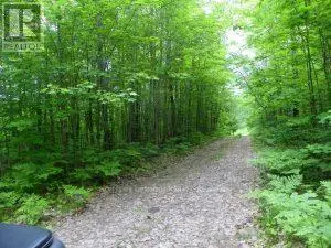 Vacant Land at 50 ACRES IN MUSKOKA NORTH OF BALA - PCL 31045, Muskoka Lakes