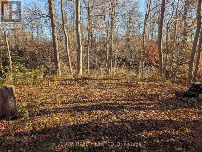 Vacant Land at 46420 METHODIST STREET, Central Elgin