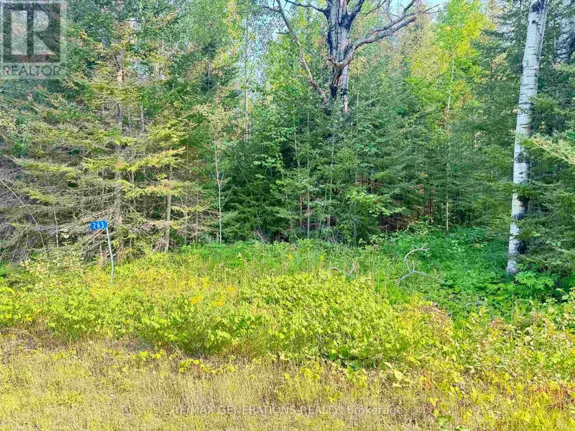 Vacant Land at 263 CLOUD RIVER ROAD E, Neebing