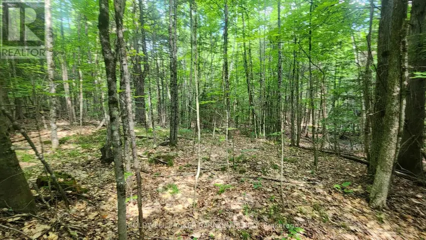 Vacant Land at 00 CANAAN ROAD, McNab/Braeside