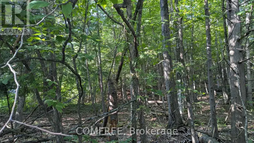 Vacant Land at 4853 OPEONGO ROAD, Ottawa