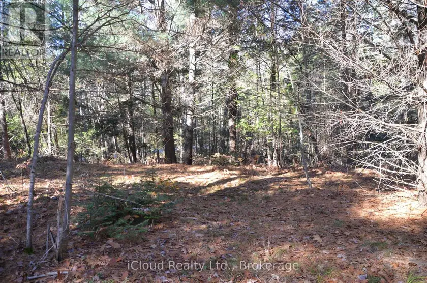 Vacant Land at 3 PARKER BAY ROAD, Whitestone